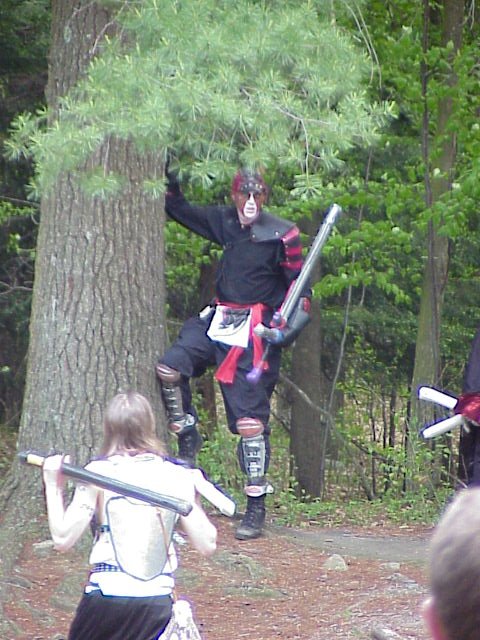 Crasis Climbing a Tree